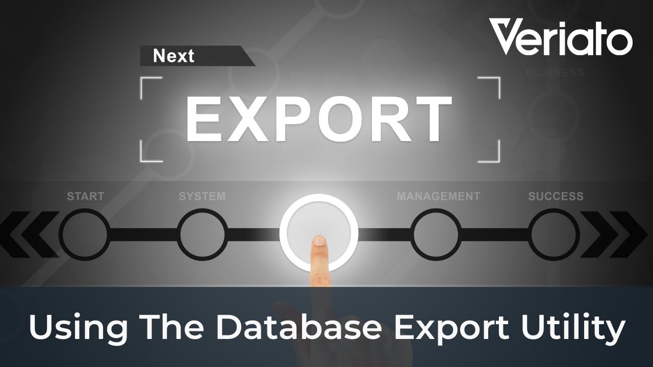 How to use the database export utility in Veriato Cerebral