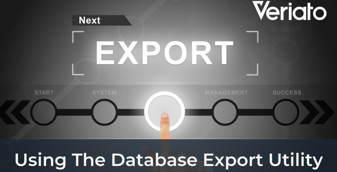 How to use the database export utility in Veriato Cerebral